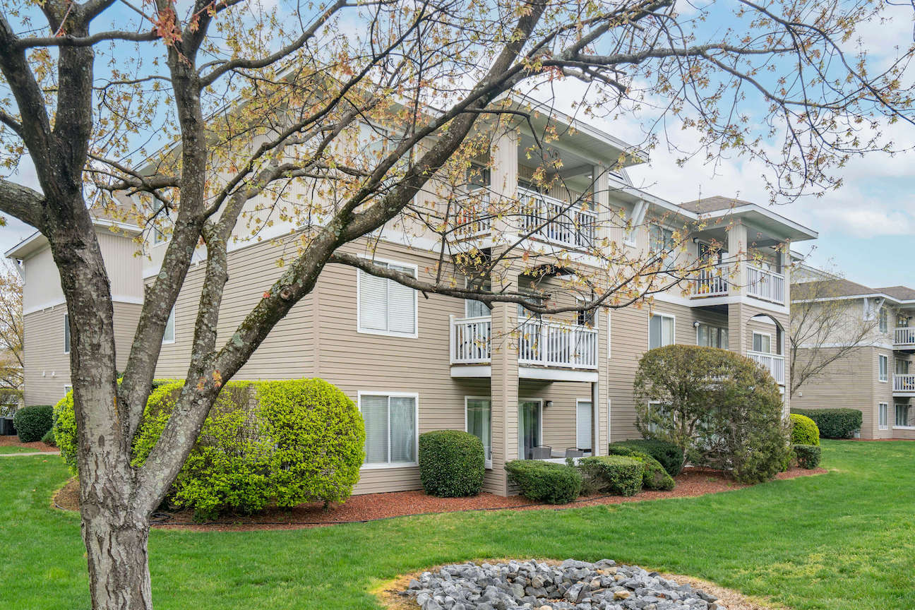 University Terrace North